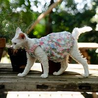 Jupe décontractée ULT Floral Pumpkin pour chat sans poils, en polyester, fraîche et mignonne, style princesse, pour l'été, Chine