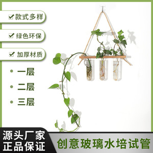 Wall Mounted Glass Hydroponic Test Tubes Wooden Rack Hanging Plant Container For Green Plants Bamboo Frame Geometric Design - Product Image 2