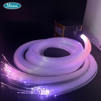 Source de lumière LED à fibre optique contrôlée par l'application TUYA, double port, moteur de lumière scintillante à fibre optique, éclairage de plafond à fibres optiques étoilées