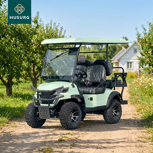 Voiturette <span class=keywords><strong>de</strong></span> golf électrique et buggy <span class=keywords><strong>de</strong></span> chasse robuste au design vintage, certifiée CE, vitesse <span class=keywords><strong>de</strong></span> 30 km/h, autonomie <span class=keywords><strong>de</strong></span> 90 km, batterie au plomb-acide - Product Image 1