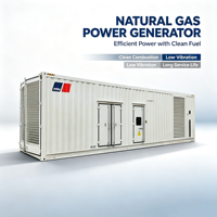 Groupe électrogène silencieux conteneurisé au gaz naturel 200-2000 kW, biogaz, GNL, ATS, démarrage automatique, plan d'alimentation industriel en conteneur