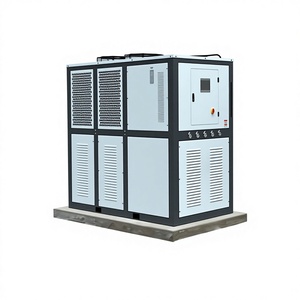 Bomba de Ciclo de Enfriamiento a Baja Temperatura DLSB-500/80 con Componentes Centrales PLC, Peso 800 kg, 1 Año de Garantía, Fabricado en - Product Image 1