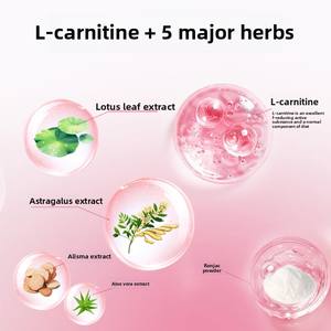 Capsules <span class=keywords><strong>de</strong></span> <span class=keywords><strong>perte</strong></span> <span class=keywords><strong>de</strong></span> <span class=keywords><strong>poids</strong></span> Xiangger : Bonbons pressés pour la <span class=keywords><strong>perte</strong></span> <span class=keywords><strong>de</strong></span> <span class=keywords><strong>poids</strong></span> tenace, santé digestive, réduction des graisses, L-Carnitine, Astragale - Product Image 3