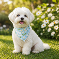 Vêtements pour animaux de compagnie élégants en polyester imprimé numérique à motifs floraux pour chiens et chats - Printemps/Été
