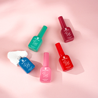 Nouveau design, gel coloré haute pigmentation, logo personnalisé, gel coloré macaron