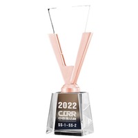 Vente en gros Trophée de championnat en métal doré argenté Trophées génériques Base noire Trophée de compétition sportive ou d'activité de club