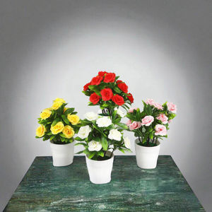 <span class=keywords><strong>Maceta</strong></span> de Plástico YongHo para Suculentas con Bandeja, <span class=keywords><strong>Maceta</strong></span> Redonda de Doble Capa para Plantas Pequeñas, Ideal para Oficina - Product Image 5