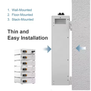 Deye-Sistema de almacenamiento de batería de respaldo solar, 51,2 V, 100Ah, LiFePO4, con comunicación CAN de hasta 30kWh de capacidad - Product Image 3