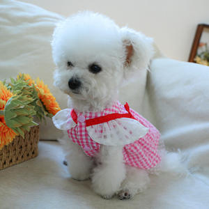 Produsen pakaian hewan peliharaan rok anjing kecil musim semi dan musim panas rok <span class=keywords><strong>Tartan</strong></span> pakaian anjing - Product Image 5