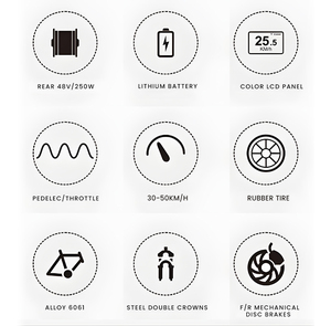 2025 Le fabricant chinois Offre Spéciale vélo vélo de ville 48V 250W moteur de <span class=keywords><strong>Cassette</strong></span> arrière E-Bike avec mise à niveau du cadre - Product Image 6
