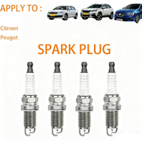 Bougie d'allumage Iridium 5960.17 5960.66 Bujias pour Renault Citroën Peugeot 206 307 Clio