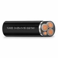Câble d'alimentation blindé ZR-YJV22 0.6/1KV 3*25+1*16 conducteurs STA, isolation XLPE, gaine PVC, câble de distribution souterrain pour bâtiments