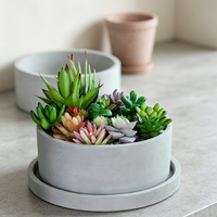 Pot de fleurs rond en béton mat avec plateau de base, pot en ciment pour succulentes, style INS, vase de bureau, logo personnalisé, approvisionnement en gros