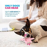 Jouets pour chiens silencieux à ultrasons AFP, jouets en peluche confortables pour animaux de compagnie, jouets à mâcher pour chiens sans sifflet et silencieux avec de jolis motifs d'animaux