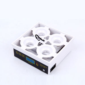 Incubateur à œufs <span class=keywords><strong>de</strong></span> perroquet économe en énergie, œufs fertiles, œufs <span class=keywords><strong>de</strong></span> poulet à couver, à vendre - Product Image 3