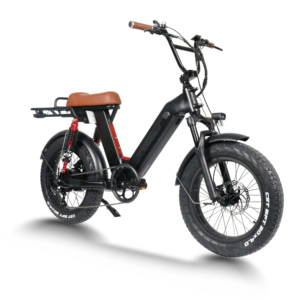 חזק 500w 750w 1000w 48v ליתיום השעיה ebike שומן צמיג רכזת אחורי המנוע חשמלי אופניים אופניים - Product Image 3