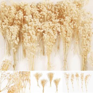 AYOYO Flor eterna Flor seca Full Sky Star Paquete de flores pequeñas 15cm, 5 piezas/paquete, decoración de boda y familia - Product Image 3