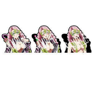 Nuova stagione Anime 3D Motion adesivi Sexy ragazza carina lenticolare Flip Car Decars per Laptop tazza di acqua decorazione - Product Image 4