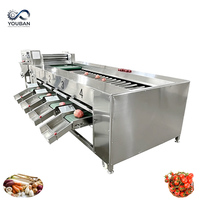 YOUBAN Automatische Fruitgewichtsorteermachine Appel Avocado Tomaat Gewichtsselectiemachine voor Fruitverwerkingslijn