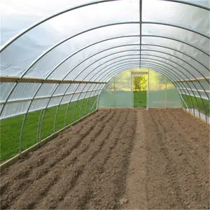 Film plastique pour Green House, Single Span, Multi Span Greenhouse, fabricant chinois