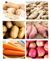 Wortelgroente Fruit Motor Borstel Was Schil Schilmes Roller Reiniger Machine Aardappel Gember Cassave Wasmachine Mini Hoogwaardig