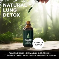 Gouttes de molène OEM avec chlorophylle, extrait liquide pour adultes recherchant un soutien respiratoire, en stock, expédition rapide