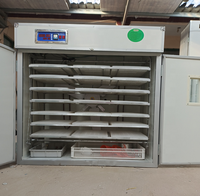 Incubateur solaire automatique pour œufs, 30 unités, pour poulet, chèvre, canard, caille