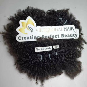 Prix usine Haute Qualité 100% Extensions de Cheveux Humains Cambodgiens Double Drawn Afro Kinky Curly Trame - Product Image 1
