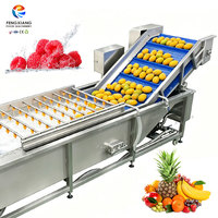 Grote fruit- en groente-luchtbellenwasmachine 2000kg bieten, mandarijnen, mango's, aardappelen, granaatappels, spuitwasapparatuur