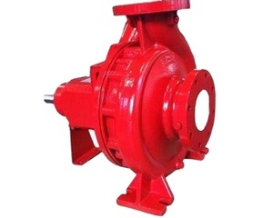 XA32/20 End Suction High for Irrigation Drinking <b>Water</b> Treatment 2900rpm Centrifugal <b>Pump</b> Stainless Steel OEM - Product Image 1