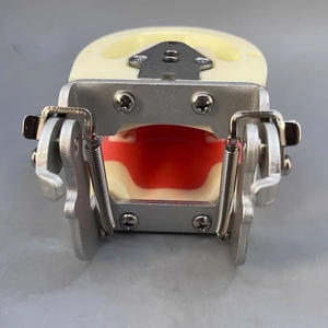 Modèle dentaire pédiatrique pour enfants avec gencives souples et mâchoire - Product Image 2