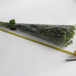 Fleurs fraîches naturelles coupées pour la Saint-Valentin, décorations de fruits, fleurs pour mariages, décorations pour invités, bouquets de remise de diplôme - Product Image 6