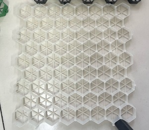 Trung Quốc Nhà sản xuất xốp lối đi cỏ gia cố paver geocell mặt đất lát lưới cho cỏ để bán 500*500*40 mét - Product Image 3