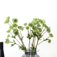 Bunga Astrantia Buatan Grosir, Bunga Masterwort Simulasi, Hijau Burgundy, Bunga Dekoratif untuk Rumah dan Rumah Pertanian