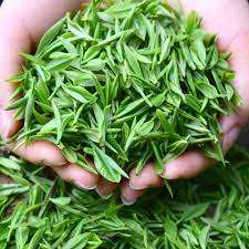 Fornitura di fabbrica di alta qualità per uso alimentare estratto di tè verde fresco in polvere tè verde Macha - Product Image 3