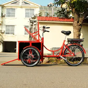 自転車電動三輪車カーゴトライク三輪ファッショナブルなレジャーカーゴトライクペット用