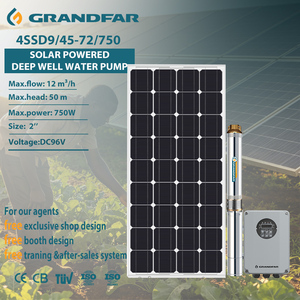 Bomba Solar Sumergible para Pozos Profundos Grandfar 96V, Sistema de 2 Pulgadas, Eficiente para Riego Agrícola Doméstico, 4SSD9/45-72/750 de Alto Rendimiento - Product Image 1