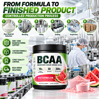 Poudre de BCAA en marque blanche OEM pour adultes 300g 10,5 oz Pastèque Soutien Musculaire et Récupération Post-Entraînement Végétalien HALAL GMP