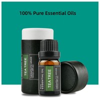 Vente en gros d'huiles essentielles 100% pures pour diffuseurs d'ambiance, en stock, 10 ml, Lavande, Arbre à thé, Eucalyptus, Bois de santal, Clou de girofle, Gingembre, Aromathérapie