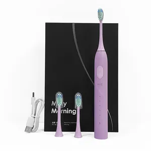 D12 Sonic Electric Toothbrush Oral Cleaning With 2 Brush Heads Rechargeable Electric Toothbrush Water Flosser Electric Brushing