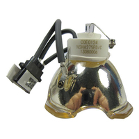 USHIO NSHA275ED Proiettore lampada nuda