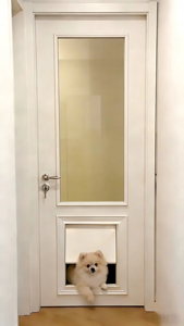 Puerta Francesa Blanca Delicada <span class=keywords><strong>para</strong></span> Perros, Mueble <span class=keywords><strong>para</strong></span> el Hogar, Puerta <span class=keywords><strong>de</strong></span> <span class=keywords><strong>Madera</strong></span> con Vidrio Insonorizado, Protección Contra el Polvo, Gran Oferta - Product Image 2