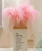 Mini Flauschiges Beige Pampasgras Getrocknete Blumen 60-65cm für Heimdekoration Muttertag & Weihnachten