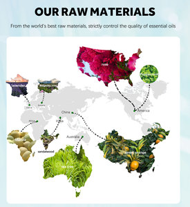 زيت عضوي نقي مكرر من جنين القمح وبذور الكتان وزيت النيم وبذور القيقب، زيت حامل طبيعي بدرجة مستحضرات التجميل - Product Image 6