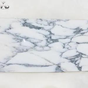 Piedra Natural de cuerpo completo Italia Arabescato Corchia Blanco Azulejo personalizado Hoja de mármol Losa de piso Azulejos de baño Revestimiento de piedra