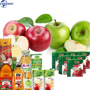 Complete Fruit Juice Production Line Apple Juice Making Equipment