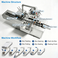 Machine d'emballage secondaire automatique pour 10 à 20 sachets, machine d'emballage en boîte pour sachets stick, machine d'emballage en carton pour sachets et pochettes