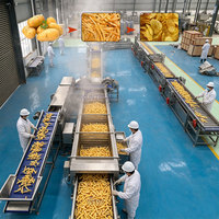 Industriële fritesfriteuse, direct van de fabriek, continue verwerkingslijn voor de productie van aardappelchips