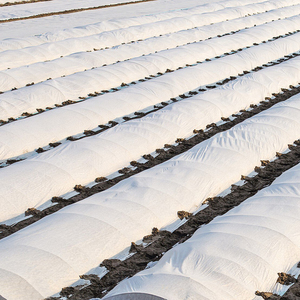 Vỏ Cây Vải Lông Cừu Không Dệt Bảo Vệ Chống Sương Giá Sinh Thái Vải Không Dệt Pp Dùng Cho Nông Nghiệp - Product Image 5