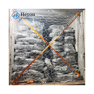 Hot Sale MZP Inconspicuous Wire Obstacle with Four Tier <strong>Loop</strong> Design for Area <strong>Control</strong> Unauthorized Entry Prevention in Ukraine - Product Image 5